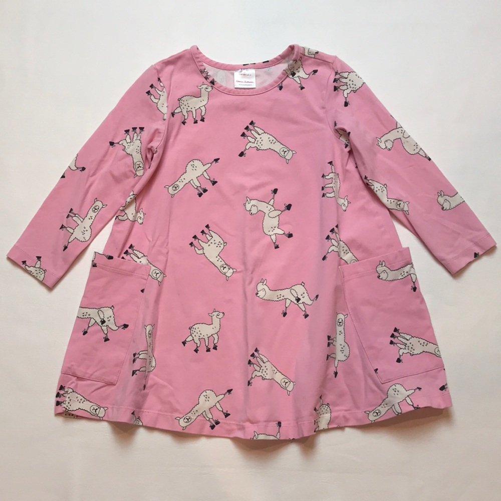 Hanna Andersson Dress (size 100)